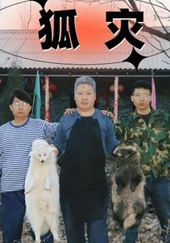 《狐灾》