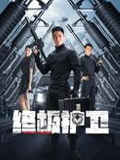 《终极护卫》