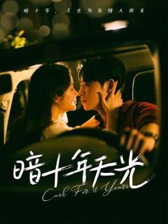 《暗十年天光》