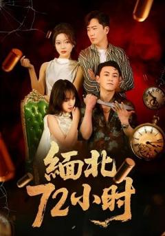 《缅北72小时》