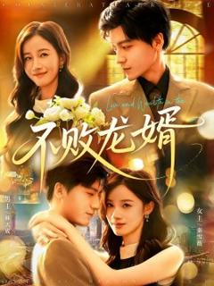 《不败龙婿》