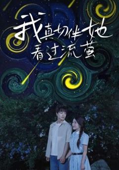 《我真切伴她看过流萤》