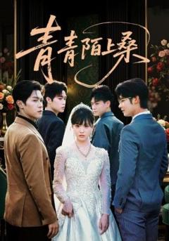 《青青陌上桑》