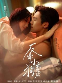 《反骨小狗求贴贴》