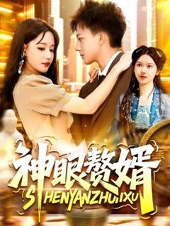 《神眼赘婿》