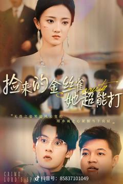《捡来的金丝雀她超能打32集》