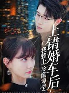 上错婚车后我赖上冷酷谭爷