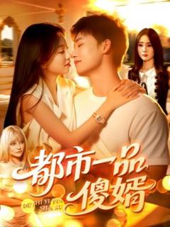 《都市一品傻婿 》