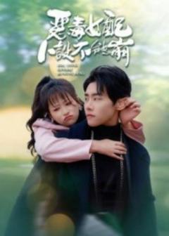 《恶毒女配人设不能崩》