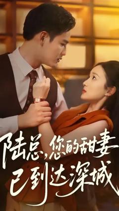 《陆总您的甜妻已到达深城》