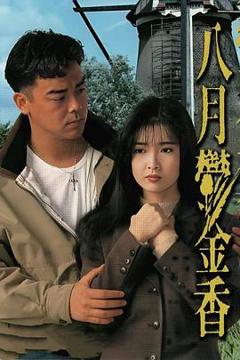 《八月鬱金香粤语》