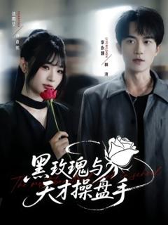 《黑玫瑰与天才操盘手》