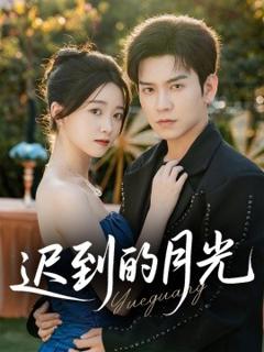 《迟到的月光》