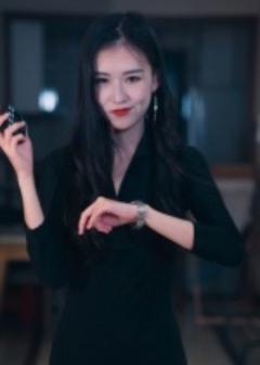 《制裁者的游戏》
