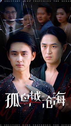 《孤鸟越沧海》