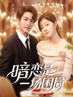 《暗恋是一场困局》