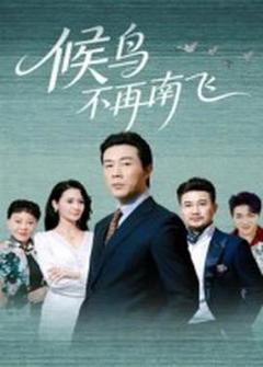 《候鸟不再南飞》