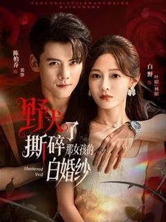 《野犬撕碎了那女孩的白婚纱》