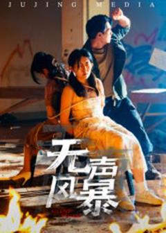 《无声风暴》