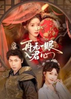 《再无一眼入君心》