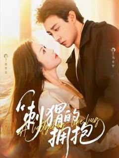 《刺猬的拥抱》