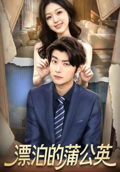 《漂泊的蒲公英》