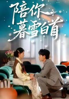 《陪你暮雪白首》