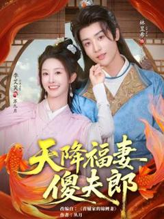 《天降福妻傻夫郎》