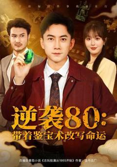 逆袭80带着鉴宝术改写命运