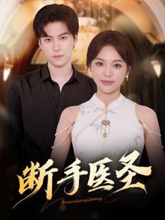 《断手医圣》