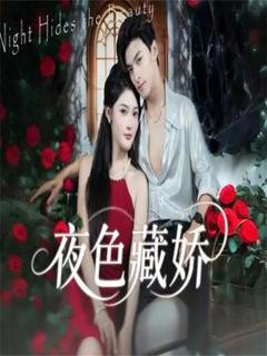 《夜色藏娇》