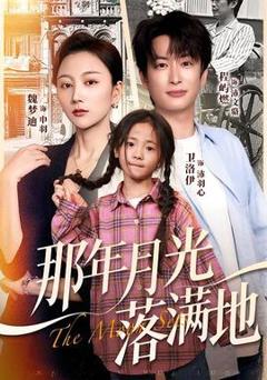 《那年月光落满地》