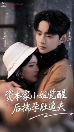 《资本家小姐觉醒后揣孕肚追夫》
