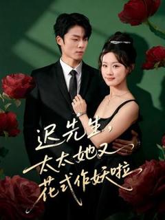 《迟先生，太太她又花式作妖啦》