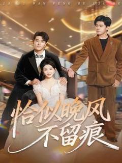 《恰似晚风不留痕》