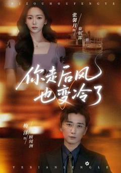 《你走后风也变冷了》