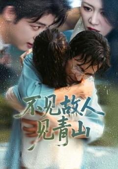 《不见故人见青山》