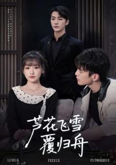 芦花飞雪覆归舟