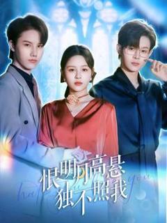 《恨明月高悬独不照我》