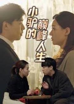 小驴的巅峰人生