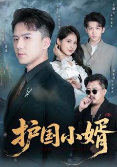 《护国小婿》