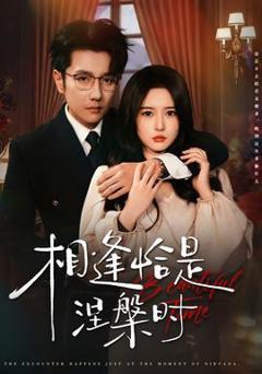 《相逢恰是涅槃时》