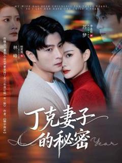 《丁克妻子的秘密》
