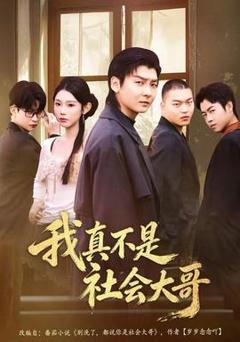 《我真不是社会大哥》