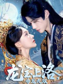《龙宝上洛帝宠无双》