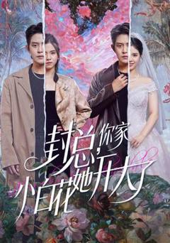 《封总，你家小白花她开大了》