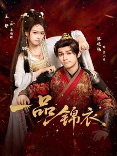 《一品锦衣》