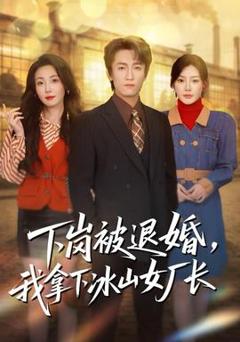 《下岗被退婚，我拿下冰山女厂长》
