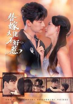 《替嫁大佬不好惹》