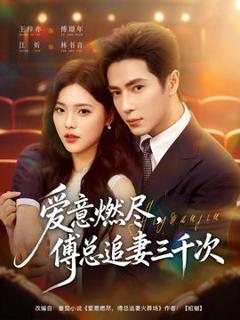 《爱意燃尽，傅总追妻三千次》